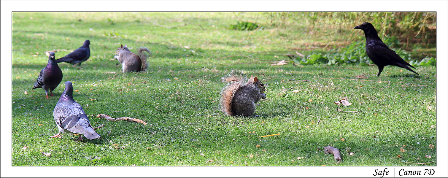 2011 - 04 - Londres 122